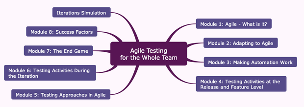 Agile Testing for the Whole Team: Interview With the Trainer