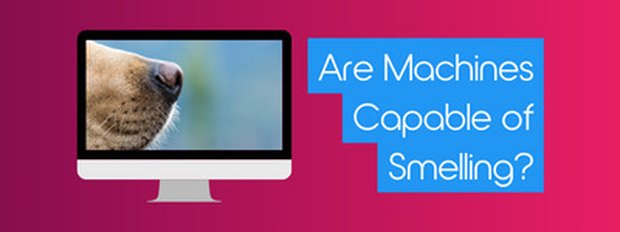 Are machines capable of smelling?